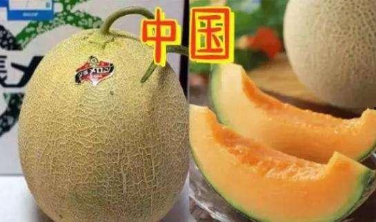 炫富吃瓜,揭秘娱乐圈的奢华生活与八卦风云