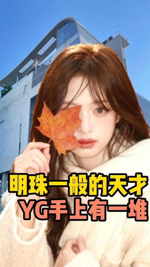 吃瓜主页的人,揭秘娱乐圈背后的故事与真相