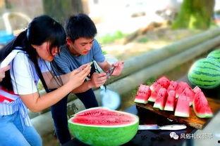 跑瓜地里吃瓜去了,跑瓜地里吃瓜趣事