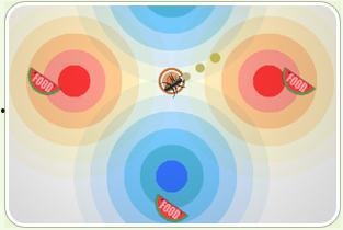 蚂蚁森林吃瓜,绿色生活，吃瓜也能助力环保