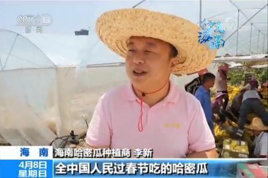 新年吃哈密瓜