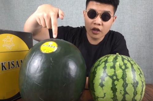 国产 日韩 欧美 吃瓜,吃瓜群众眼中的世界美食盛宴