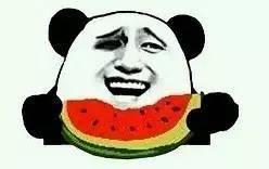 吃瓜大胖,揭秘娱乐圈的“瓜田”趣事