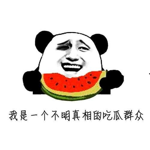 吃瓜大胖,揭秘娱乐圈的“瓜田”趣事