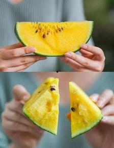 衢州人来了 吃瓜,揭秘“吃瓜”背后的文化现象