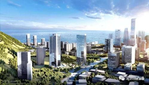 滨海大厦吃瓜,揭秘网红美食背后的吃瓜故事