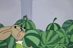 雾中吃瓜,一场别开生面的美食体验之旅