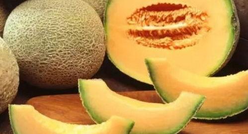 斗鸡吃哈密瓜,一场别开生面的美食邂逅