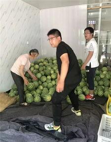 常州医院吃瓜,揭秘背后真相与争议