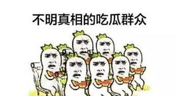 吃瓜丹丹,揭秘娱乐圈背后的那些事儿