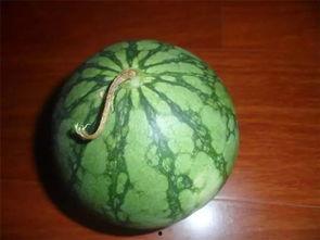 吃瓜小绿,揭秘娱乐圈那些不为人知的幕后故事