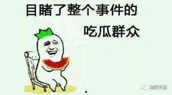 精神的吃瓜群众,网络时代的独特现象
