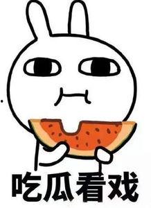 带你吃瓜辅导作业,揭秘辅导作业背后的趣味与智慧