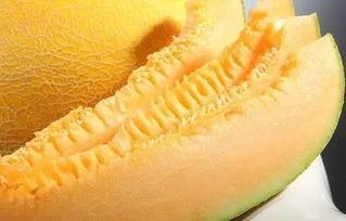 吃瓜南昌海伦,揭秘吃瓜群众的狂欢盛宴