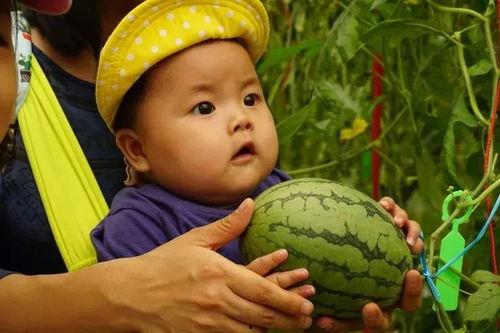 好看的吃瓜群,网络社交新潮流