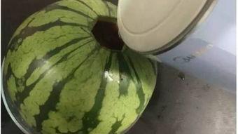 室友吃瓜图片,揭秘校园生活趣味瞬间