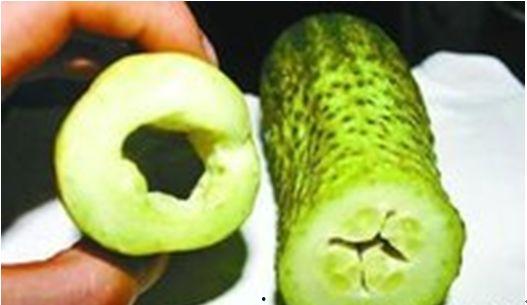 空心瓜怎么吃,空心瓜的多彩食法揭秘