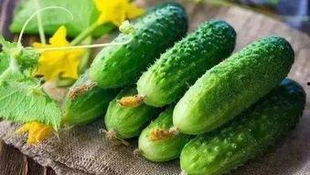 空心瓜怎么吃,空心瓜的多彩食法揭秘