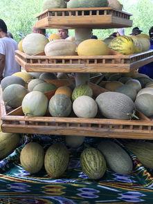 观众吃瓜素材,明星幕后故事全曝光