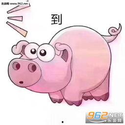 颜文字吃瓜表情