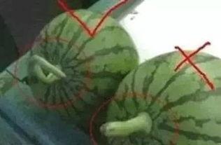 带你吃瓜鉴定文物,揭秘古董收藏的趣味与智慧