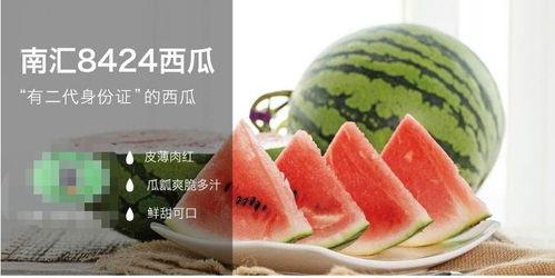 带你吃瓜鉴定文物,揭秘古董收藏的趣味与智慧