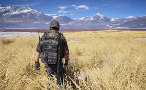 荒野行动吃瓜小伙,吃瓜小伙的趣味冒险之旅