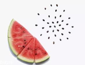 吃瓜吃的有点撑文案,肚子撑得“圆滚滚”的趣味回顾