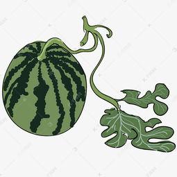 大瓜吃瓜素材图片,揭秘娱乐圈幕后故事，带你领略明星们的真实生活