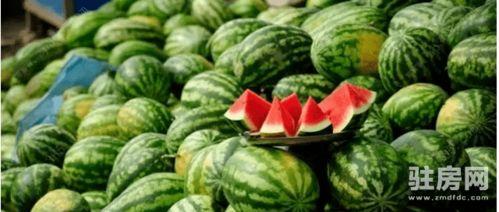 蓝澜视频吃瓜,揭秘娱乐圈吃瓜大事件