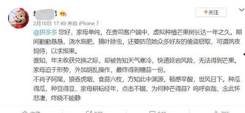 啖瓜吃瓜古文,古风中的闲适生活画卷