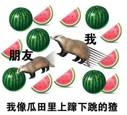 不朽瓜怎么吃,探索不朽瓜的多重美味吃法