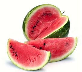 洛洛吃新西兰瓜,探寻异国美味瓜果的奇妙之旅