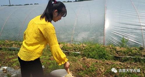 吃瓜路人0728,网络红人的崛起与影响力