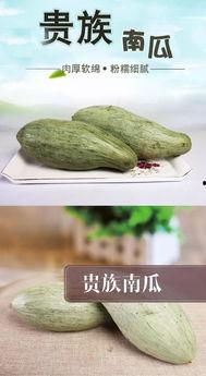 嗨吃瓜条,揭秘娱乐圈幕后故事，带你领略明星们的真实生活