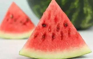 夏之吃瓜,夏日消暑美食之旅