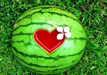 梦见吃瓜切瓜,瓜果飘香，切瓜解谜之旅