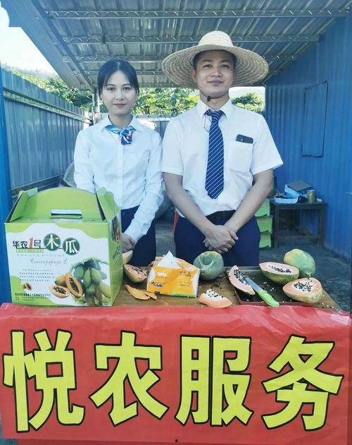 户外吃瓜视频全集,视频全集精彩瞬间回顾