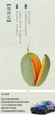 东区吃瓜,揭秘吃瓜群众的狂欢盛宴