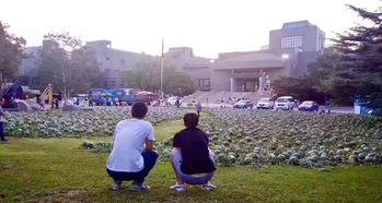 昌吉学院吃瓜事件