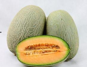 吃哈密瓜不吃切了吃,不切即食，尽享夏日清新