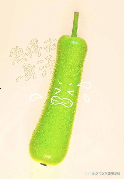 武汉dj吃瓜,揭秘网络舆论背后的真相与反思