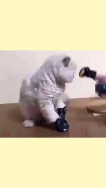 吃瓜挨揍视频素材,视频素材揭示挨揍瞬间