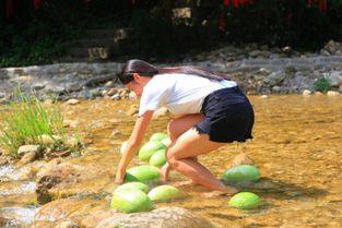 景区吃瓜视频,揭秘游客真实食趣