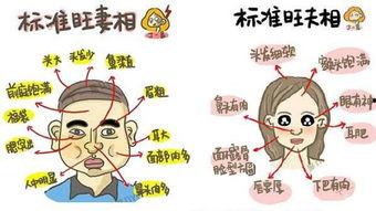 吃瓜面相,揭秘面相中的“吃瓜群众”特质