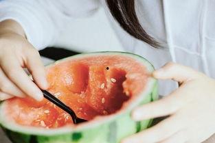 吃瓜摄影展,一场别开生面的吃瓜摄影展回顾