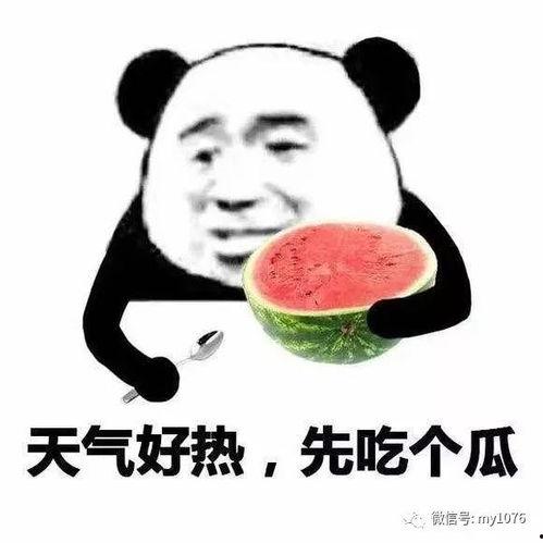 吃瓜的小孩表情,揭秘吃瓜小孩的纯真表情