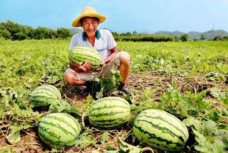 民警蹲路边吃瓜