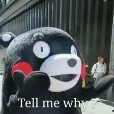 熊本熊吃瓜