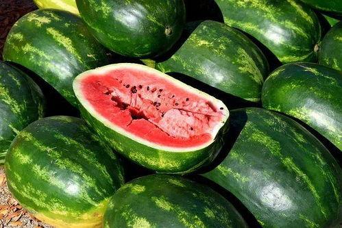 农家小孩瓜园吃瓜图片,农家小孩的甜蜜时光